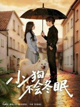 荒岛来信 海报